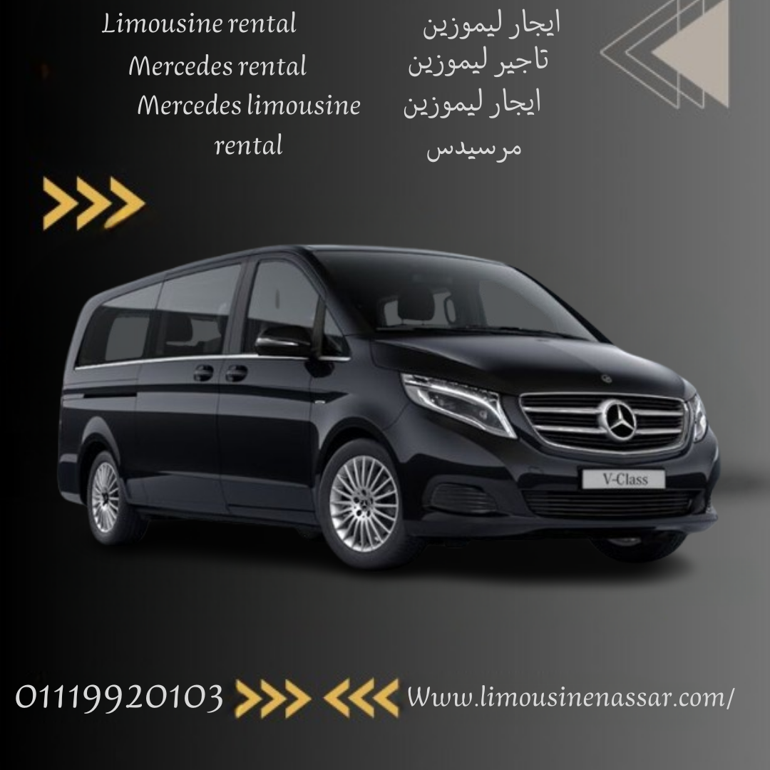 سائق خاص مرسيدس V-Class فان: هل يمكنني الحصول على سائق خاص مرسيدس V-Class فان؟ (Private driver Merce