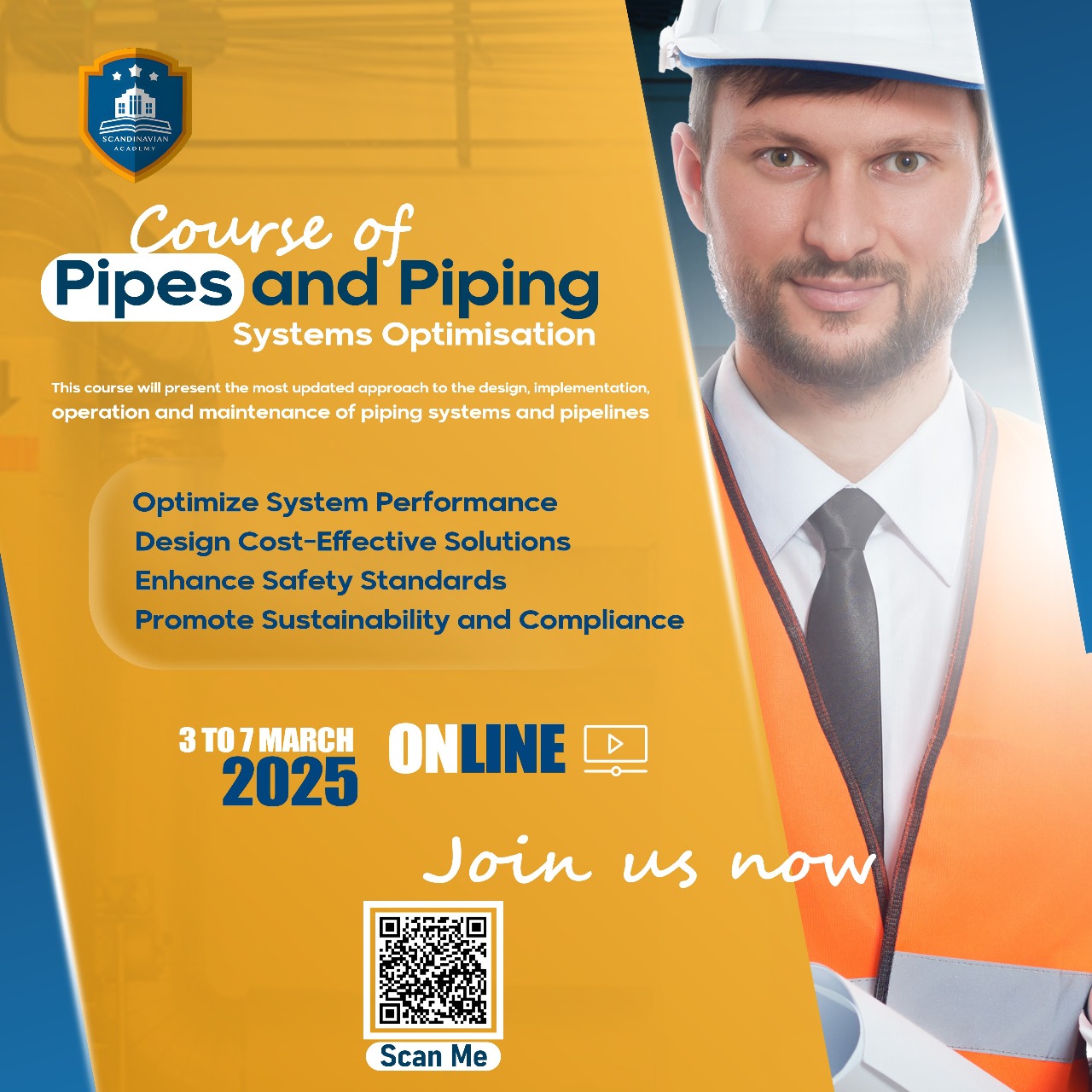 Piping Systems Optimization Course| 0201040330979