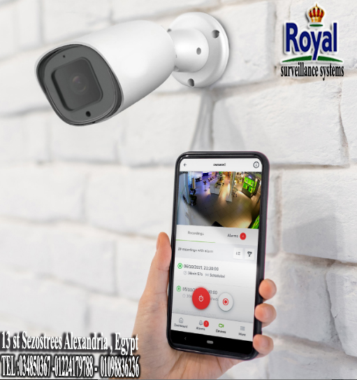 Royal surveillance systems