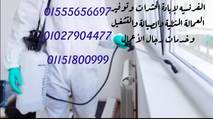 الشركة الغرنسية لابادة الحشرات والفئران وتوفير العمالة المنزية والصيانة والشغيل