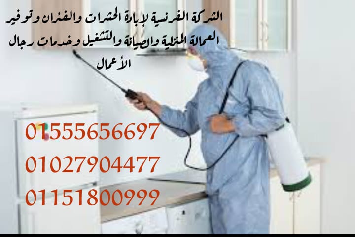 الشركة الغرنسية لابادة الحشرات والفئران